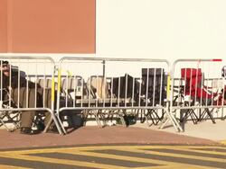 Black Friday Shoppers Stock Footage