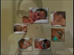 Nadya Suleman has signed a deal with PETA, in an attempt to save her home. Suleman is trying to avoid foreclosure, so she has agreed to put up a sign promoting spay and neutering. Suleman will be paid $5,000 per month for the sign. Instructional Video