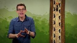 We Got Ants In Our Plants! Instructional Video