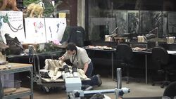 Subway Scientist Seeks Fossils Under Los Angeles News Clip