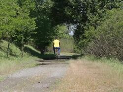 Adult man cycling on country road with puddles Stock Footage