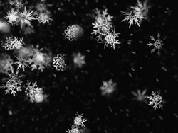 Slow Snow with depth of field Stock Footage