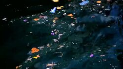 Rubbish in the sea Stock Footage