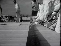 EXPORT HOUSES - News Clip