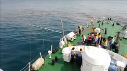 CLEAN : Oil spill threatens India's nesting turtles News Clip