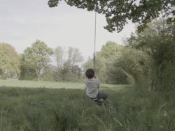 Little Boy Sitting On Rope Swing In The British Countryside Stock Footage