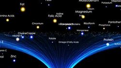 Nutrients in Foods Stock Footage