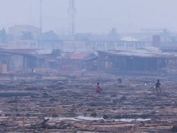 WS Boy and man with net walking on logs / Lagos, Nigeria Stock Footage