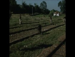 SYND 26-11-71SCENES IN BANGLADESH TOWN News Clip