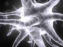 Glowing Microorganism Stock Footage