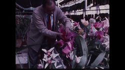 News Item (747a886d-a50b-89b8-185d-22405212aba2) Instructional Video