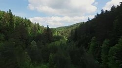4K Aerial Shot Forest Stock Footage