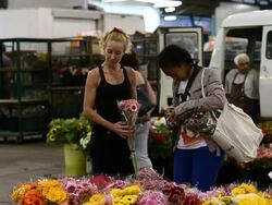 Sydney Flower Market Busy For Valentines Day Stock Footage