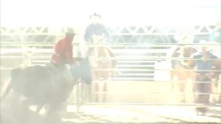 Children and adults in horseback shooting contest News Clip