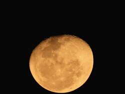 Full moon Stock Footage