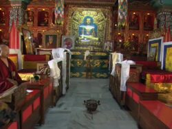 WS POV Camera moving past row of monks towards Buddha statue in monastery / Kathmandu, Central Region, Nepal Stock Footage