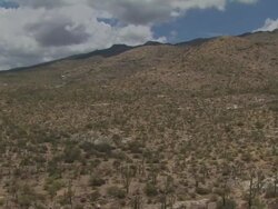 Pan across foothills and desert with  Saguaro Cactus, scrub and other cactus in Sonoran Desert, Arizona, USA. Stock Footage