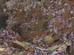 Shifting Cardboard Waste in a Recycling Center Stock Footage