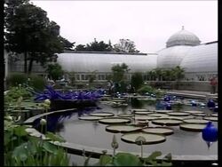 Spectacular glass sculptures on show in New York botanical garden News Clip