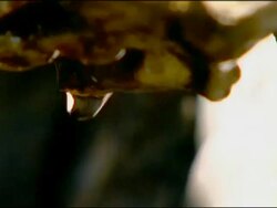 Water Droplets falling off rocks, cu, Tabernas Desert, Andalucia, Spain Stock Footage