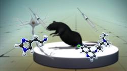 The science behind itch-induced scratching Instructional Video