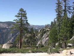 Taft Point Trail Stock Footage