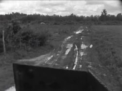 Vietnamese Get Us B-57 Bombers, South Vietnam: Combined Services Operation In Zone D, Korean Division Leaves For Vietnam, Instructional Video