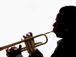 Trompet Solist Stock Footage