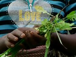 Woman holding weed in her hands Stock Footage