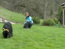 HD SLOW-MOTION: Ball game with a dog Stock Footage