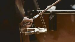 Musician playing double bass during concert Stock Footage