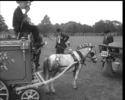 WHITE CITY HORSE SHOW News Clip