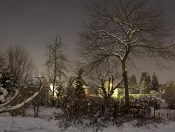 Winter Landscape Stock Footage