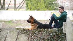 Man with the dog Stock Footage