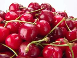 CHERRIES Stock Footage