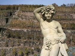 MS Statue at winery Schlob Wackerbarth rear Radebeul / Radebeul, Saxony, Germany Stock Footage