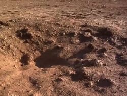 Assad Regime Using Banned Cluster Bombs News Clip