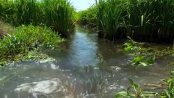 SupraSensor could be super tool for precision agriculture Instructional Video