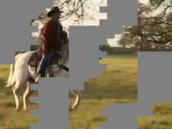 Hispanic Cowboy Rides White Horse on Texas Ranch Stock Footage