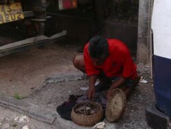 WS Sri Snake charmer / Colombo, East Sri Lanka, Sri Lanka  Stock Footage