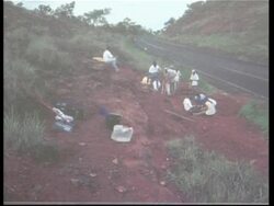 Scientists unveil largest dinosaur fossil yet discovered in Brazil News Clip
