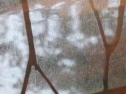MS Reflection of rain falling inside puddle in tropical area / Placencia, Stann Creek, Belize Stock Footage