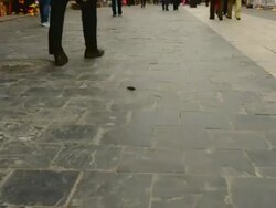 The footsteps of the pilgrims 02 Stock Footage