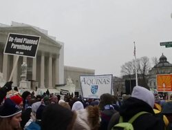 March for Life Anti-Abortion Rally Stock Footage