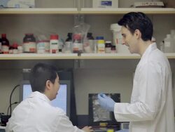 CU PAN Lab technicians discussing test tube sample at Cancer research  Healthcare medicine  Industry DNA sequencing Laboratory / Vancouver, BC, Canada    Stock Footage