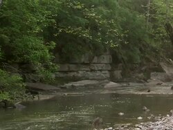 Slow tilt down on creek with water calmly running through. Stock Footage