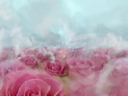 BLOOMING ROSE FIELD  - clouds/roses/clouds/light blue (seamless loopable) Stock Footage