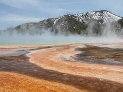 hot springs landscape - yellowstone national park Stock Footage