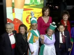 'Wizard Of Oz' Ruby Red Slipper DVD Gala Screening arrivals Stock Footage