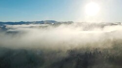 Flying through fog over a forest Stock Footage